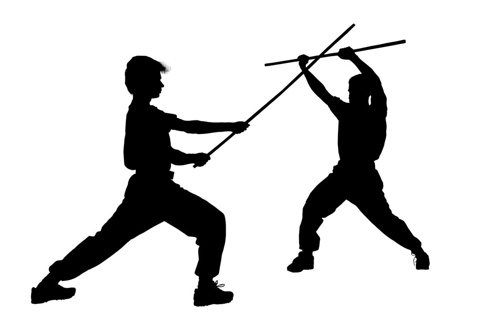 Dragon Ryu Arts Academy