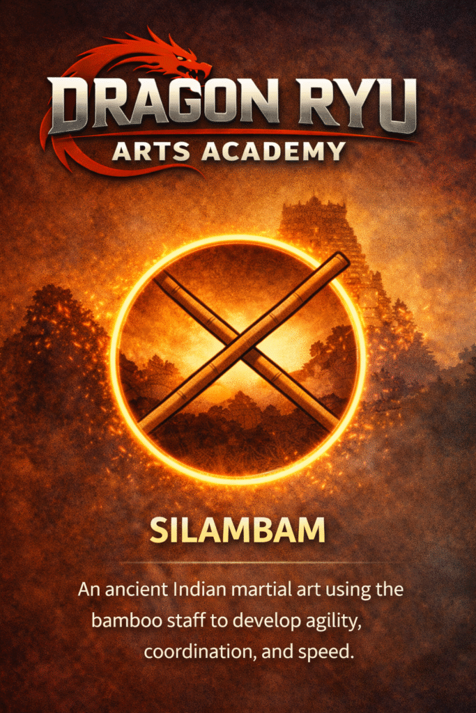 Dragon Ryu Arts Academy